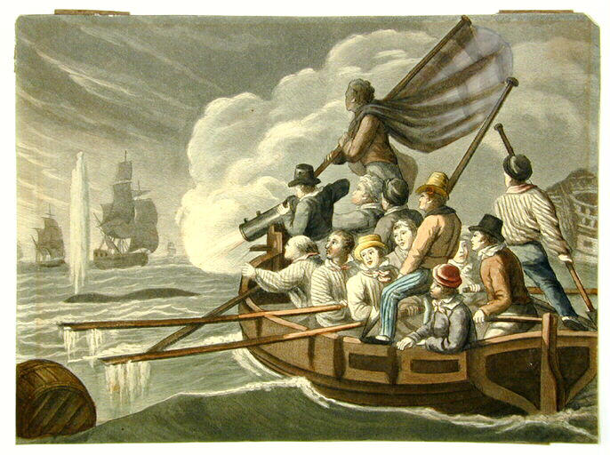 Autre manière de tuer la baleine, pêche au canon