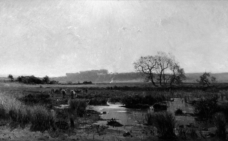 Matinée de novembre dans les marais de Lacanau