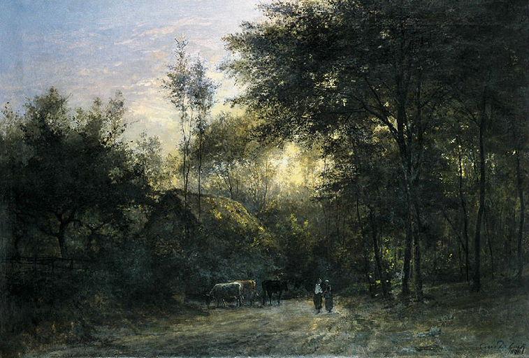 Un soleil couchant dans le bois