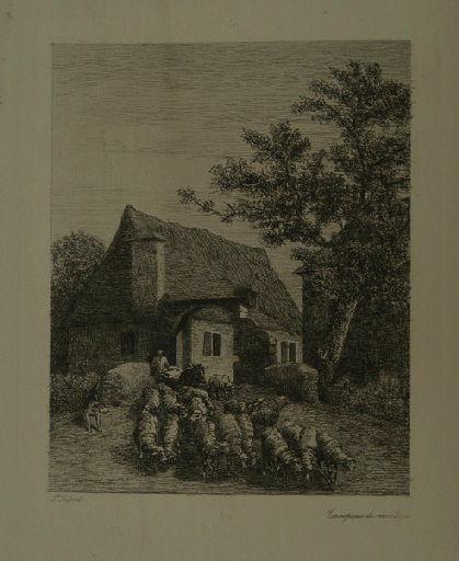 Troupeau de moutons