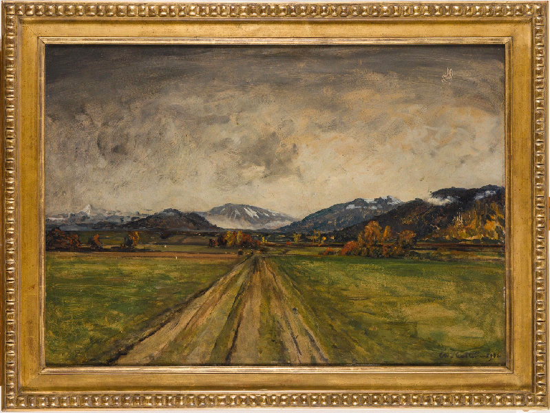 Plateau de Féternes en Savoie