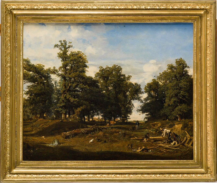 Lisière de forêt