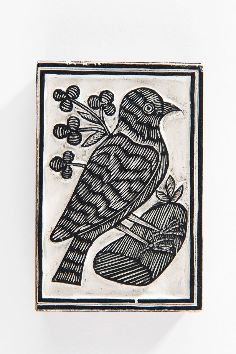 Oiseau