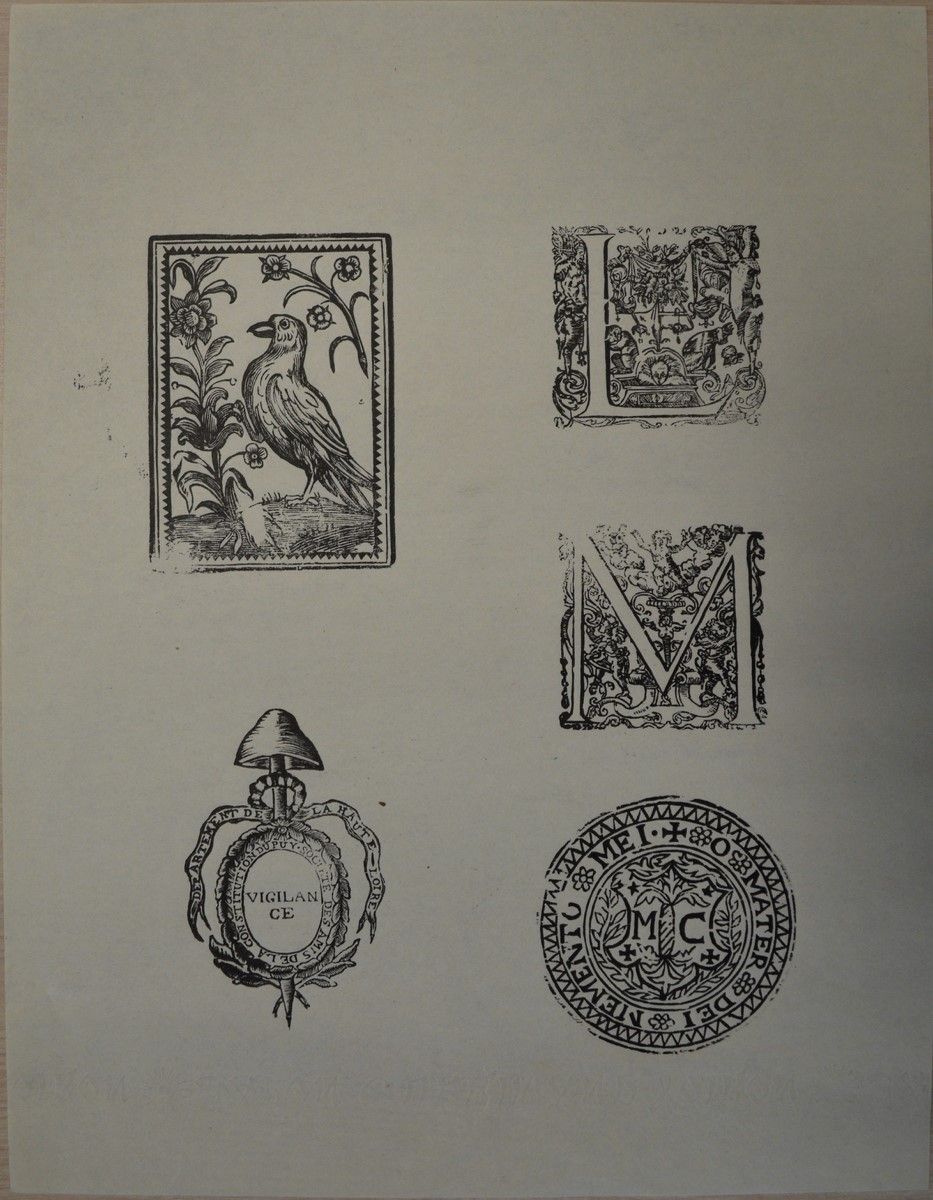 Oiseau