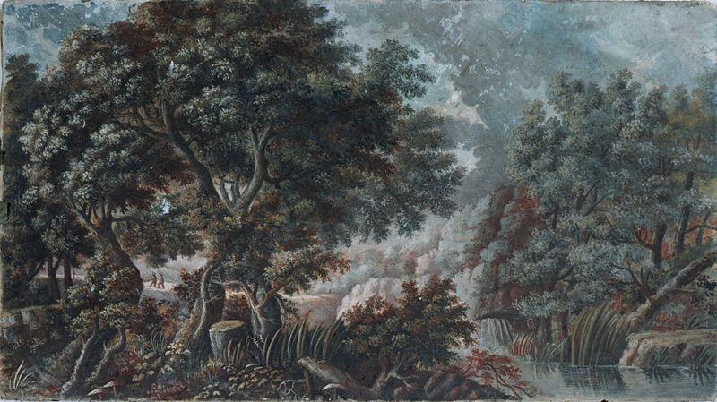 arbres au bord de la rivière