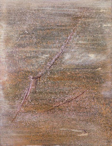 Les Cicatrices du Ciel