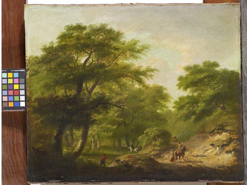 Chasse dans la forêt