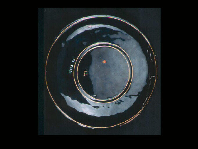 Salomone ; Décor floral (autour)