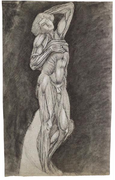 L'Esclave de Michel-Ange, étude anatomique et écorché