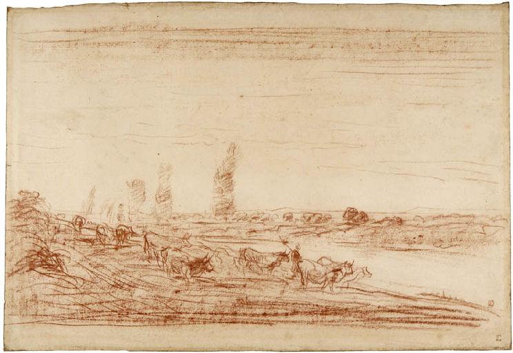 Troupeau de vaches allant boire à la rivière