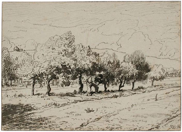 Paysan dans un verger