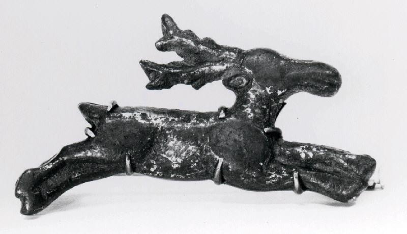 Cerf courant