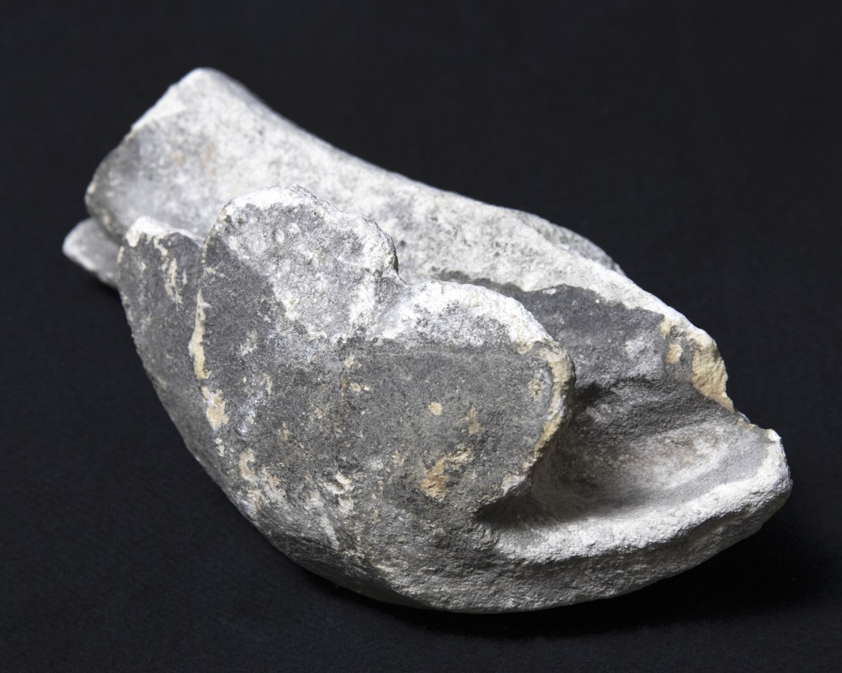 Fragment de rinceau de métope