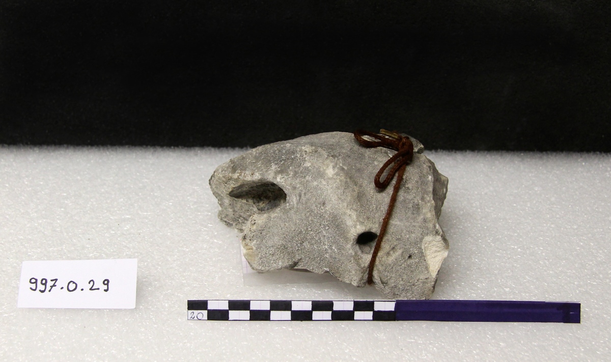 Fragment de rinceau de métope