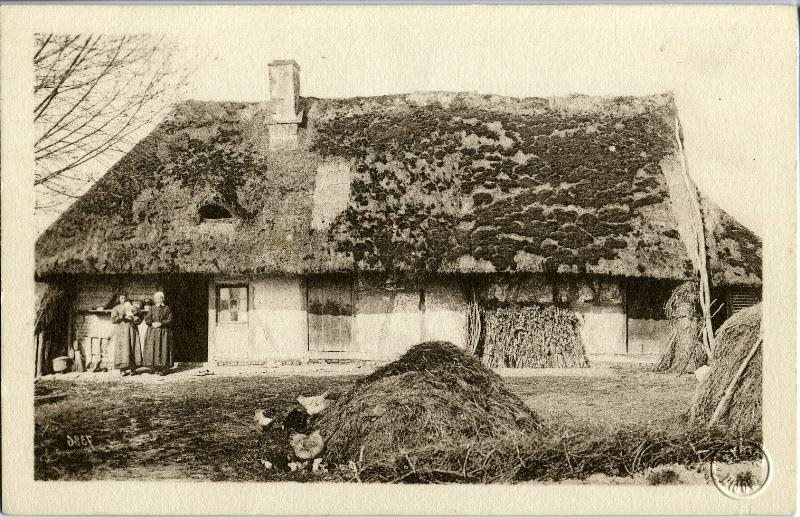 SCENE CHAMPÊTRE - Chaume bressan