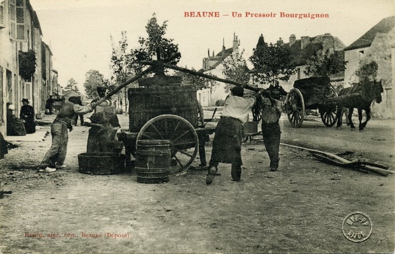 BEAUNE - Un Pressoir Bourguignon