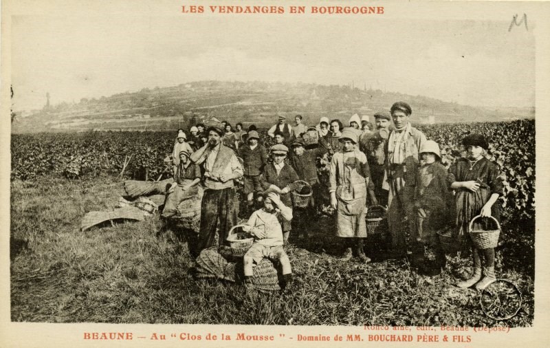 BEAUNE - Au "Clos de la Mousse"