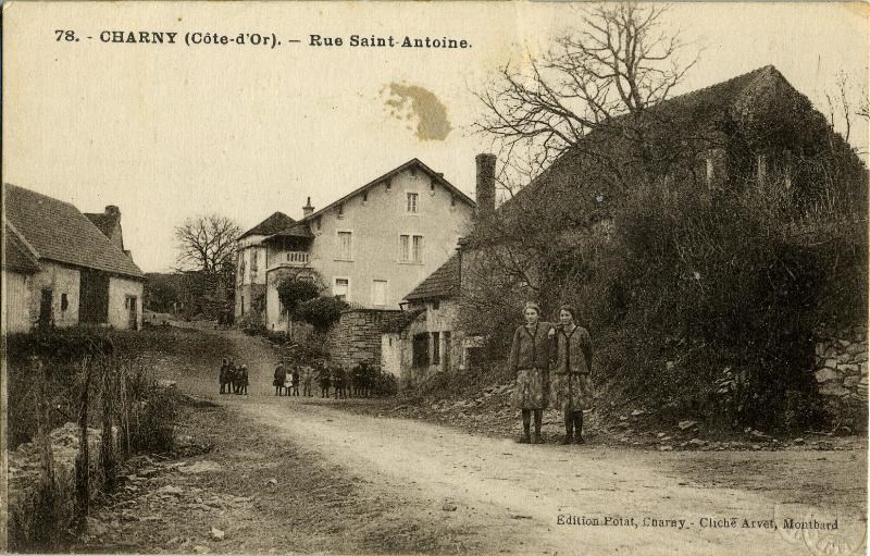 78. - CHARNY (Côte-d'Or). - Rue Saint-Antoine
