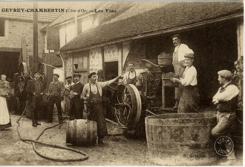 GEVERY-CHAMBERTIN (Côte-d'Or) - Les Vins