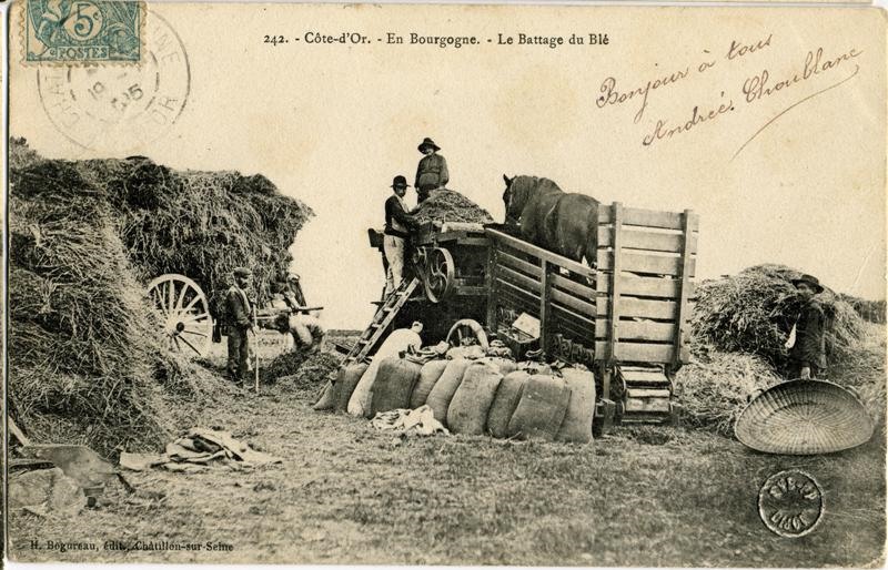 242. Côte d'Or – En bourgogne – Le battage du Blé