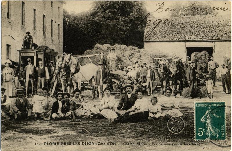 20. PLOMBIERES-LES-DIJON  (Côte-d'Or) - Champ Morin - Fin de moisson (le tue-chien)
