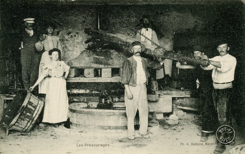 Les pressurages