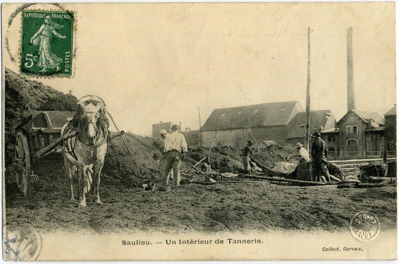 Saulieu. - Un Intérieur de Tannerie