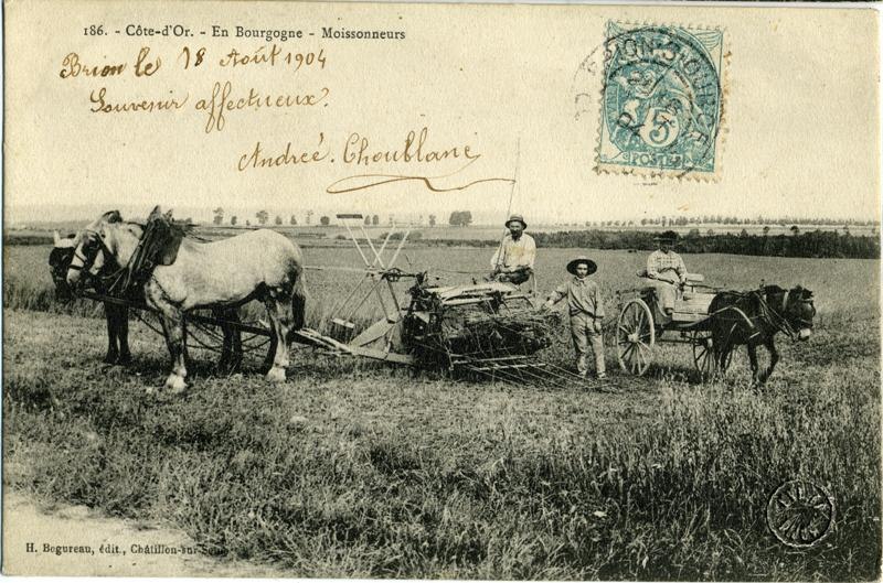 186 - Côte d'Or – En Bourgogne – Moissonneurs