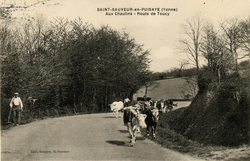SAINT-SAUVEUR-en-PUISAYE (Yonne)/Aux Chaulins-Route de Toucy