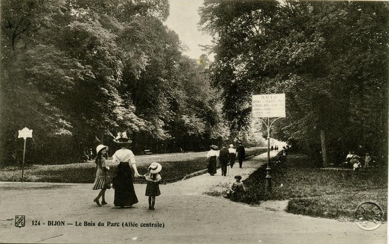 124 - DIJON - Le Bois du Parc (Allée centrale)