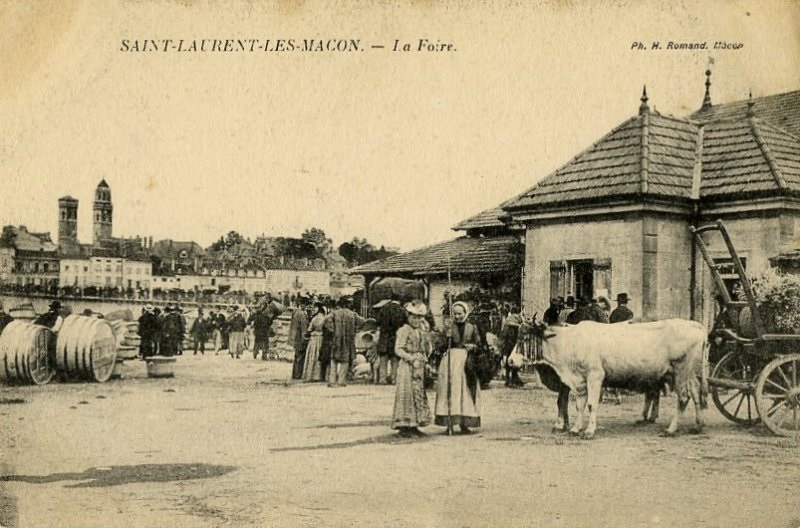 SAINT-LAURENT-LES-MACON. - La Foire