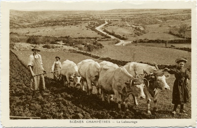 SCENES CHAMPETRES - Le Labourage