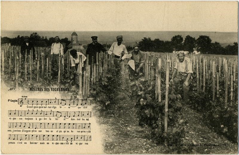 N°1. - MISERES DES VIGNERONS