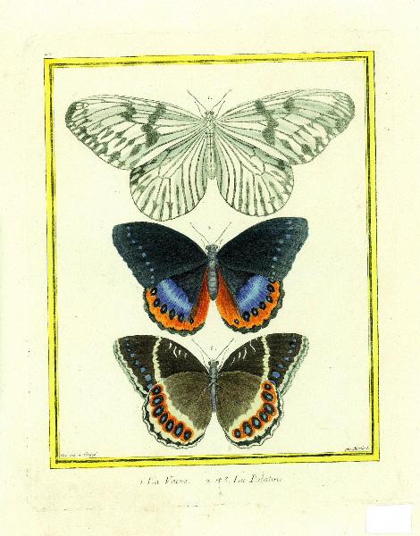 1. La veuve. 2 et 3. La Palatine