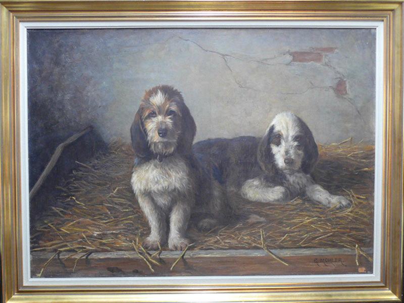 Portrait de deux chiens