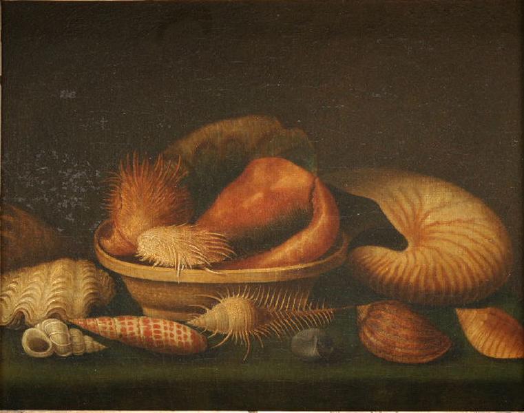 Nature morte aux coquillages