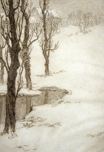 Paysage aux arbres morts