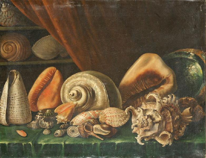 Nature morte aux coquillages