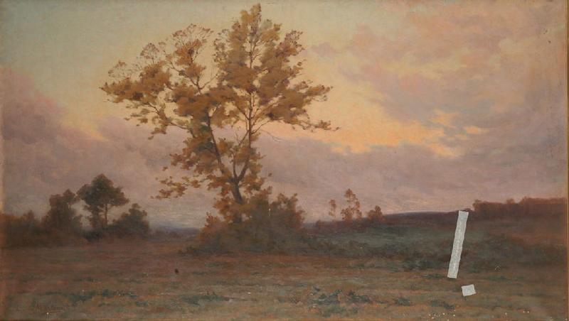 Chênes au crépuscule