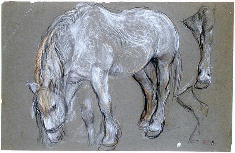 Le cheval isabelle