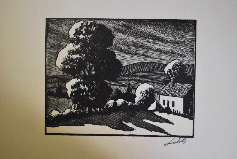 Paysage à la maisonnette