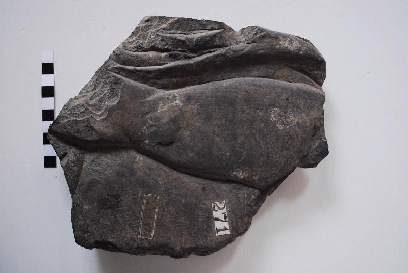 Fragment avec cuisse et genou masculin