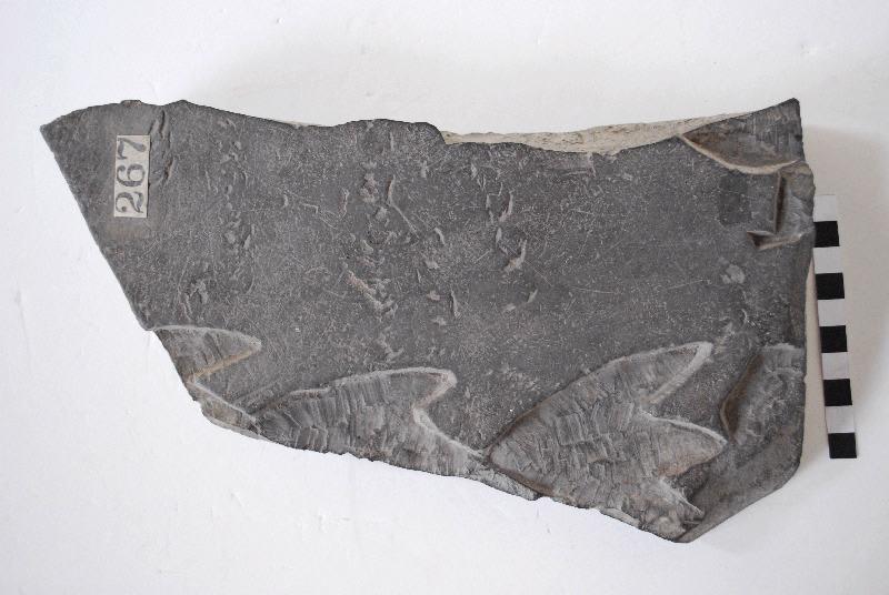 Elément placage mural en schiste taillé et mouluré à décor à incrustation