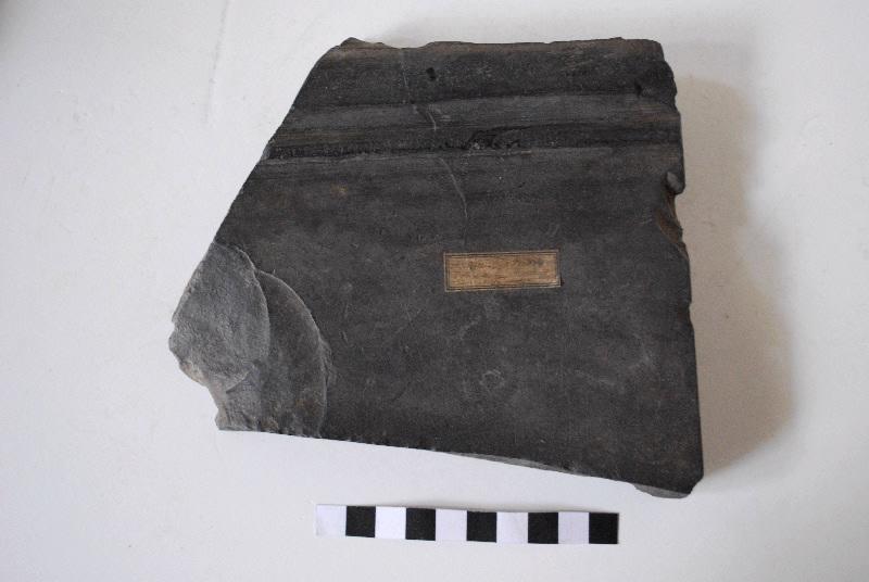 Fragment de cadre de panneau taillé et mouluré
