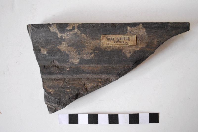 Fragment de bordure de cadre de panneau taillé et mouluré