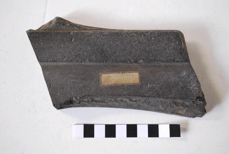 Fragment panneau taillé et mouluré