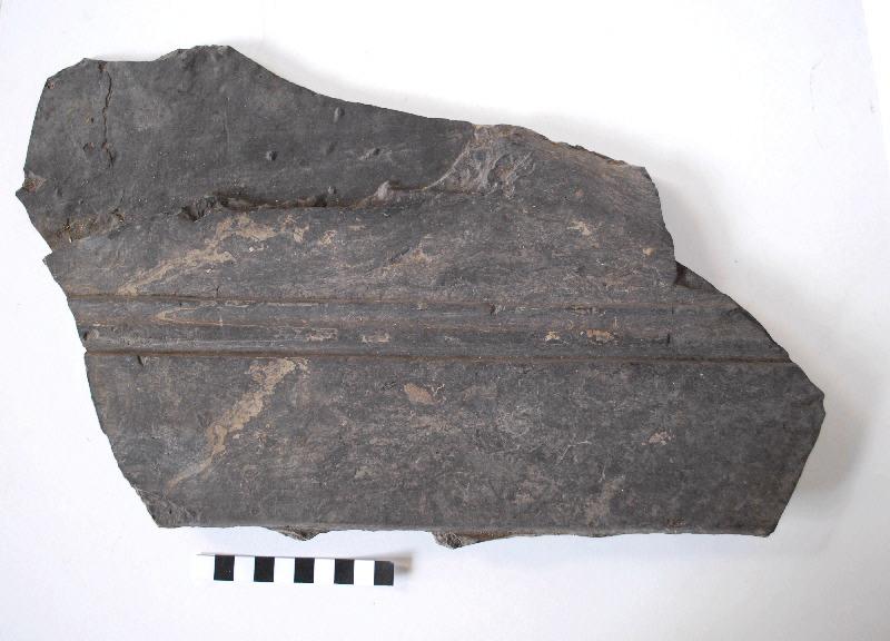 Fragment de panneau taillé et mouluré