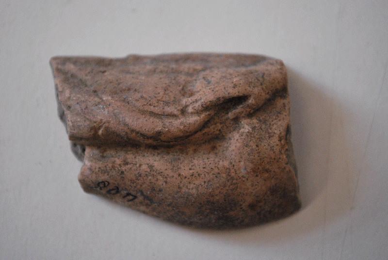 Vénus