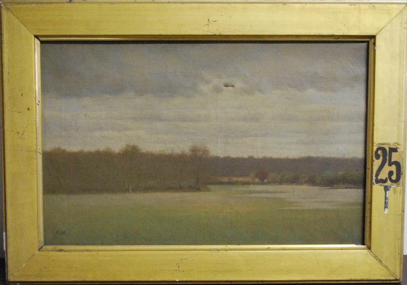 La plaine inondée