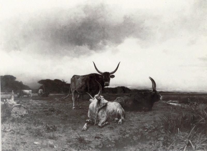 Pâturage entre Ostie et Castel-Fusano, campagne de Rome